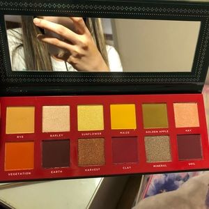 BRAND NEW ace beaute classical paradise palette